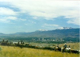 cattledrivereno